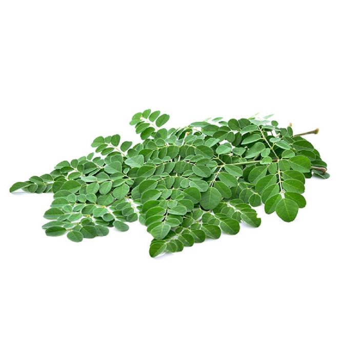 Drumstick Leaf (Moringa Leaf)