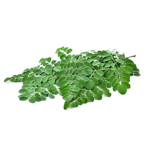 Drumstick Leaf (Moringa Leaf)
