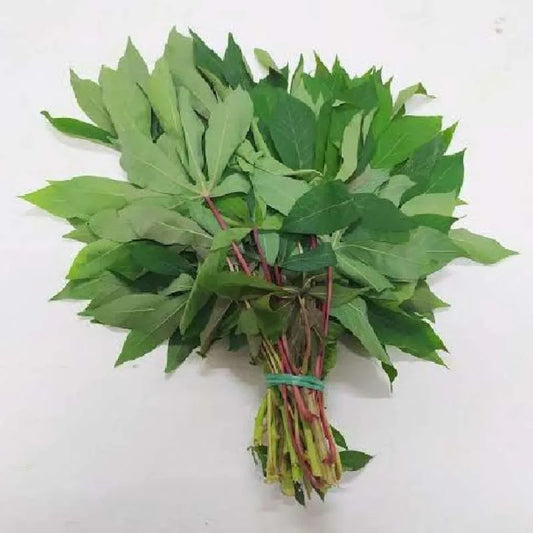 Tapioca Leaves