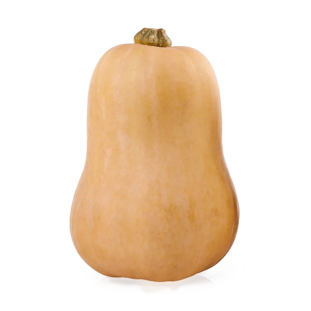 Pumpkin Butternut
