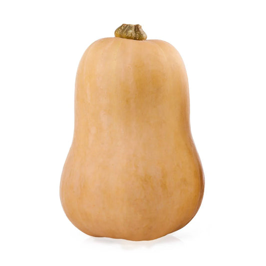 Pumpkin Butternut