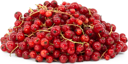 Red Currants