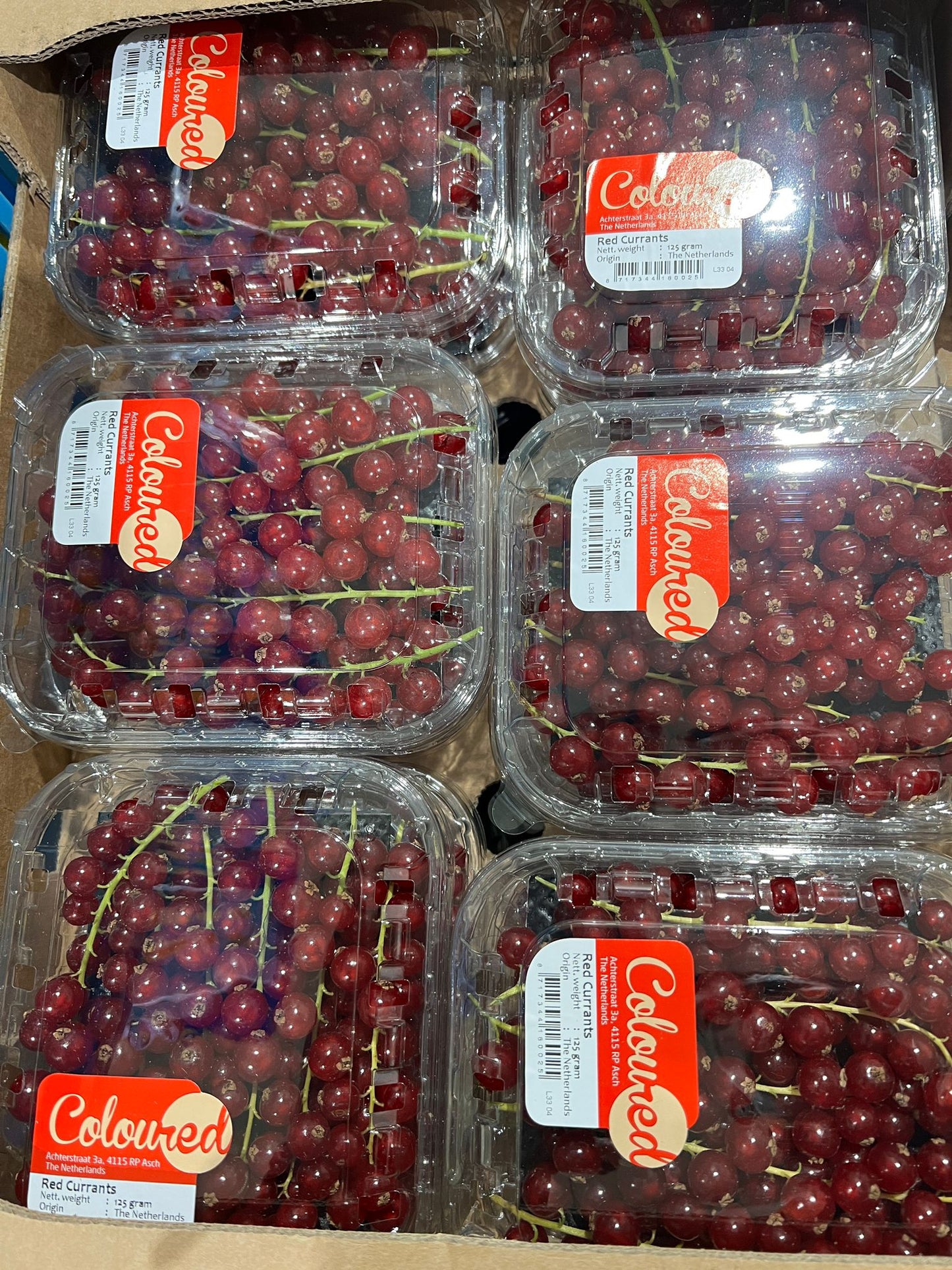 Red Currants