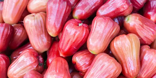 Jambu/Rose Apple