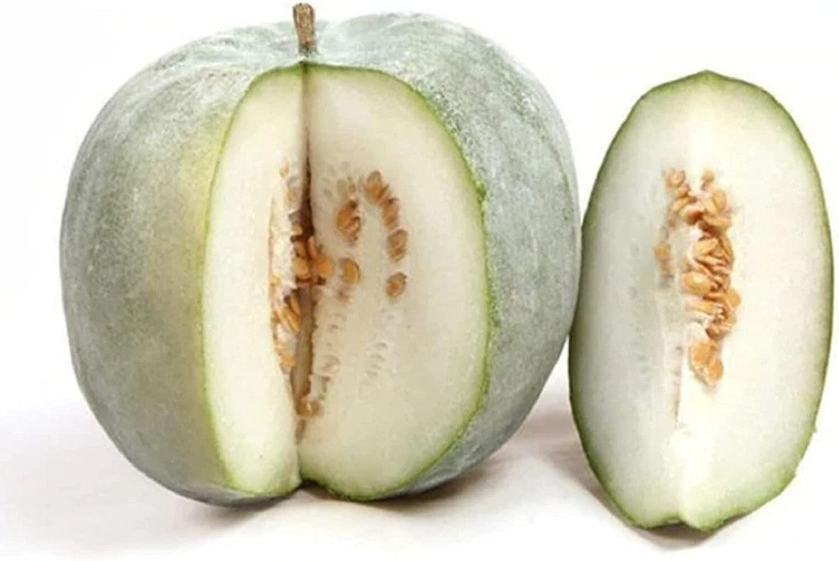 Winter Melon