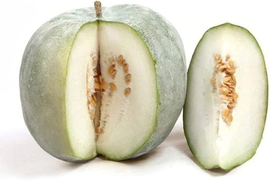 Winter Melon
