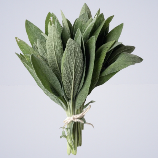 Herb Sage