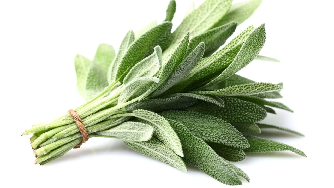 Herb Sage