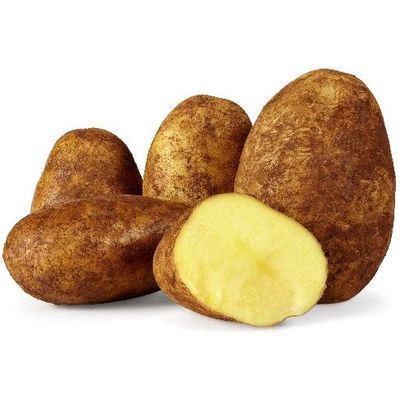Potato Sebago