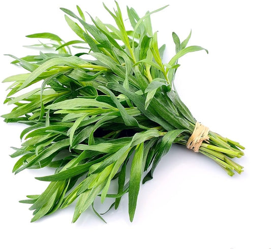 Herb Tarragon