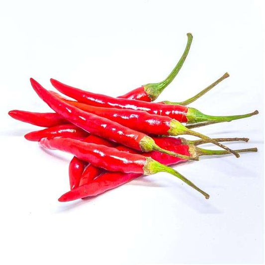 Chilli Padi Red