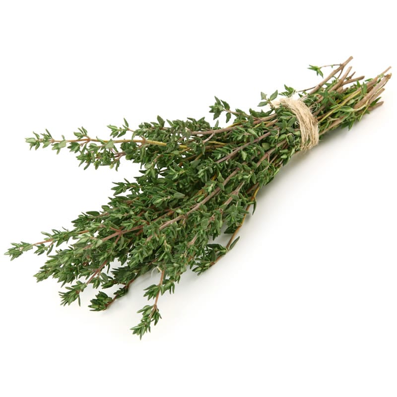 Herb Lemon Thyme