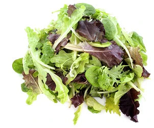 Lettuce Mesclun (Aust / USA)