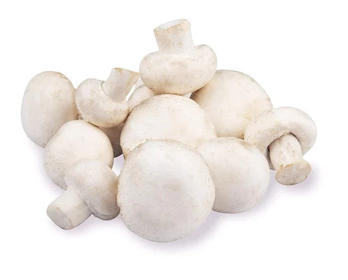 Mushroom Button White