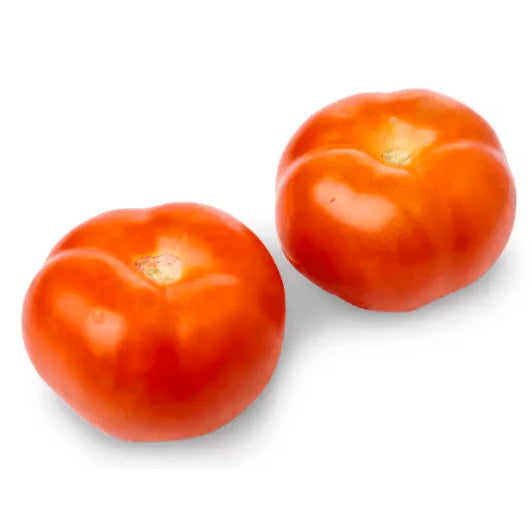 Tomato XXL (10kg)